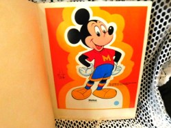 mickey minnie pd a